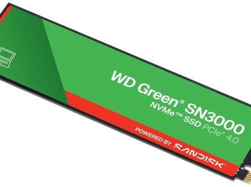 SSDGWDS100T4G0E-1.jpg WD Green SN3000 M.2 PCIe NVMe 1TB